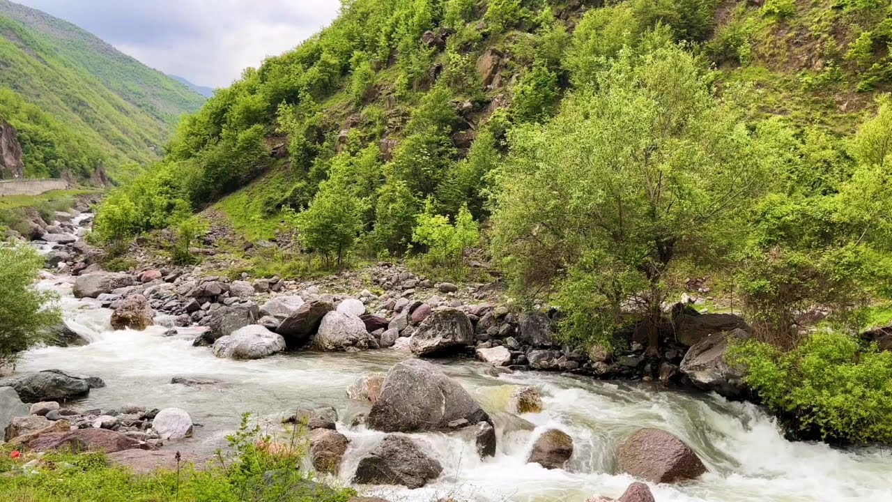 Peaceful Mountain River 🌿 Gentle Water Sounds & Birds Singing ASMR
