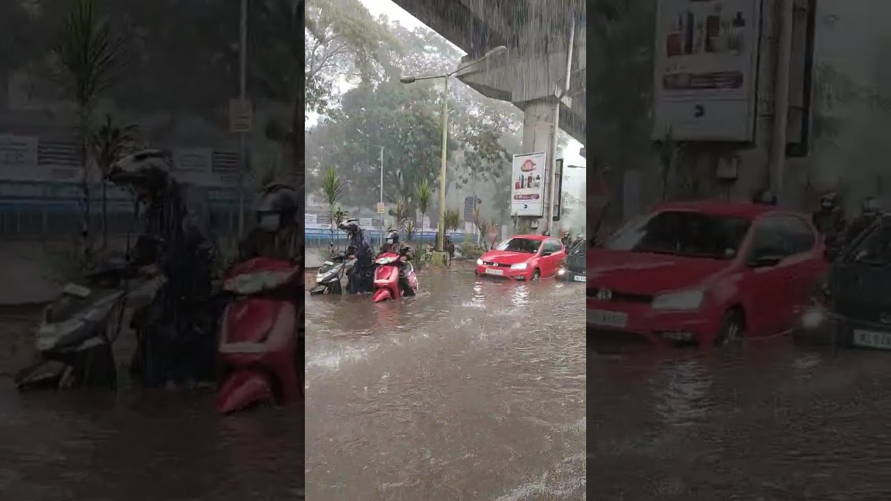 ⚠️ Severe Rain Alert ⚠️ Ernakulam #shorts