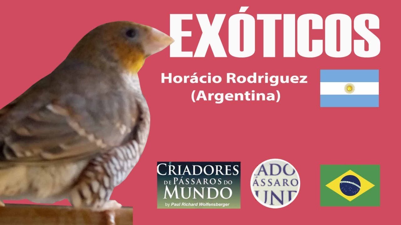 Criadouro Família Rodriguez Toledo - Exóticos