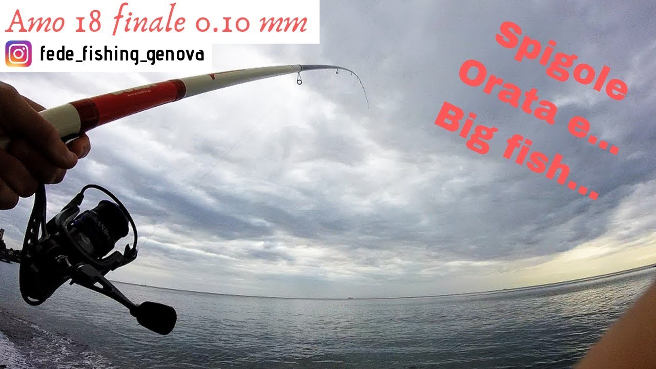 Pesca all'inglese dalla spiaggia.