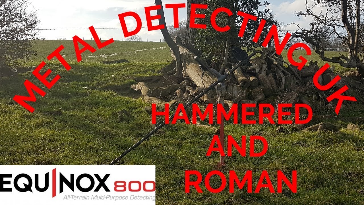 metal detecting uk Equinox 800