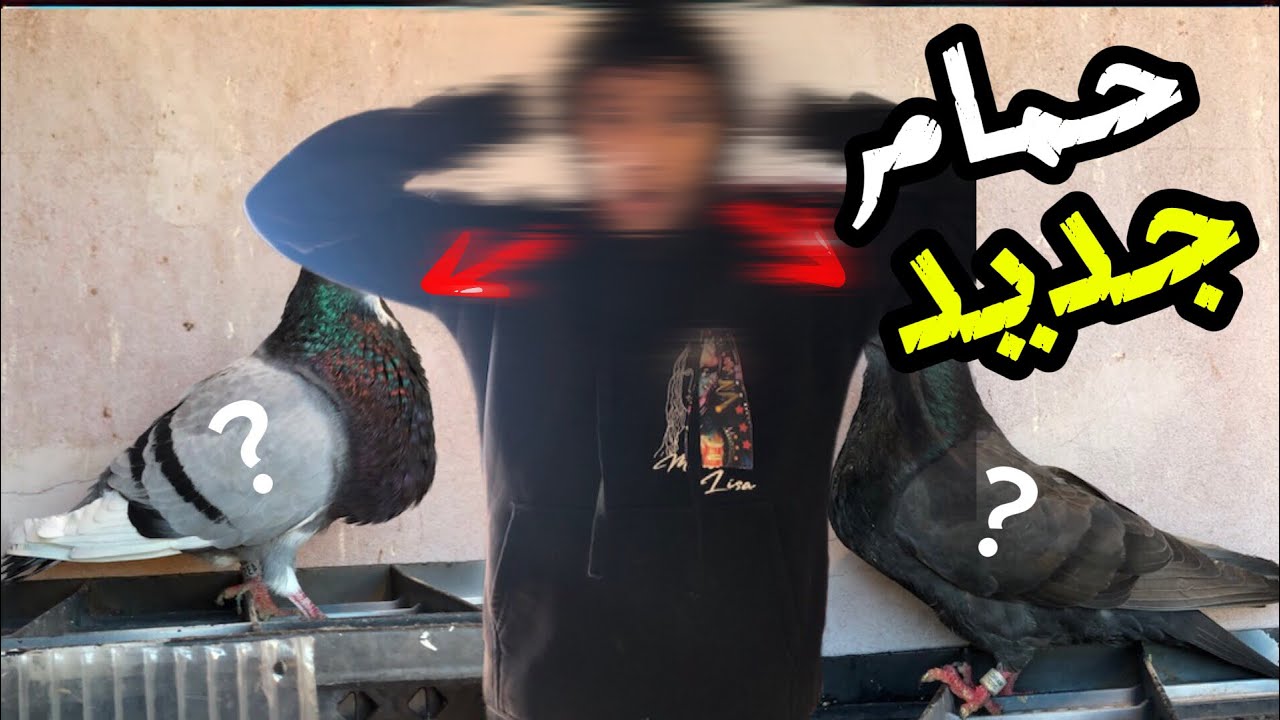 وأخيرًا إشتريت دكور حمام السيفيانوس الأصيل😱😍ميمكنش شنو دار دكر السيفيانوس 😱🕊️🤯