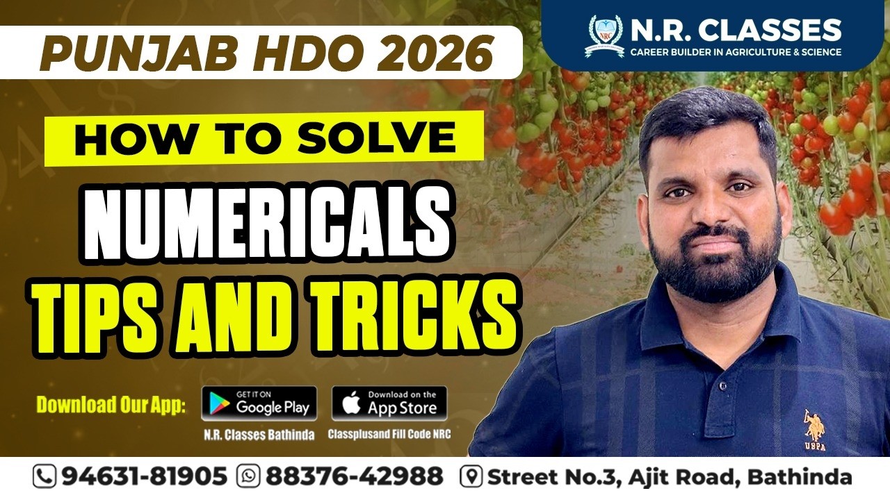 Punjab HDO 2026 Preparation | How to Solve Numerical Questions Fast | Tips & Tricks