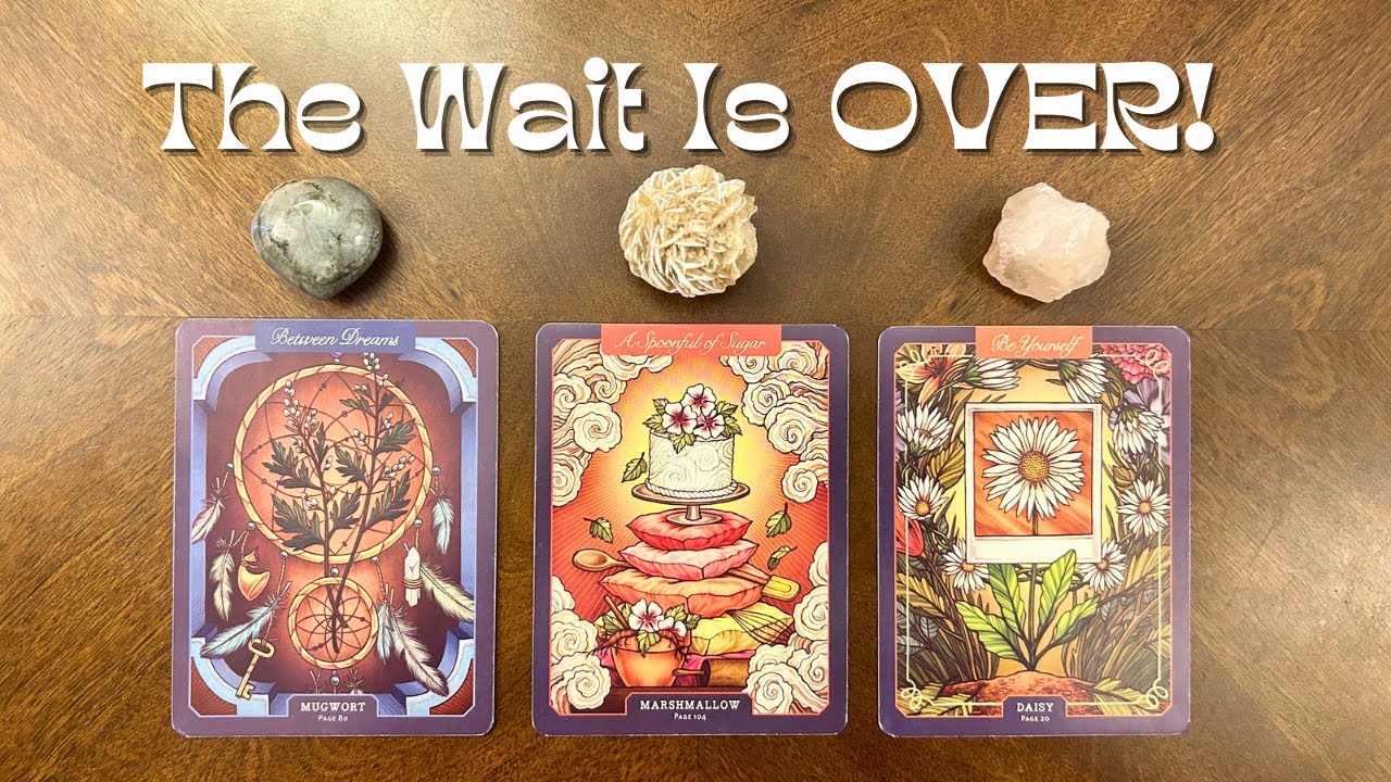 YOUR Wait is OVER!! ✨🏁😲✨What You Want is FINALLY HERE! 💫 ||🔮Pick A Card🔮Tarot Reading