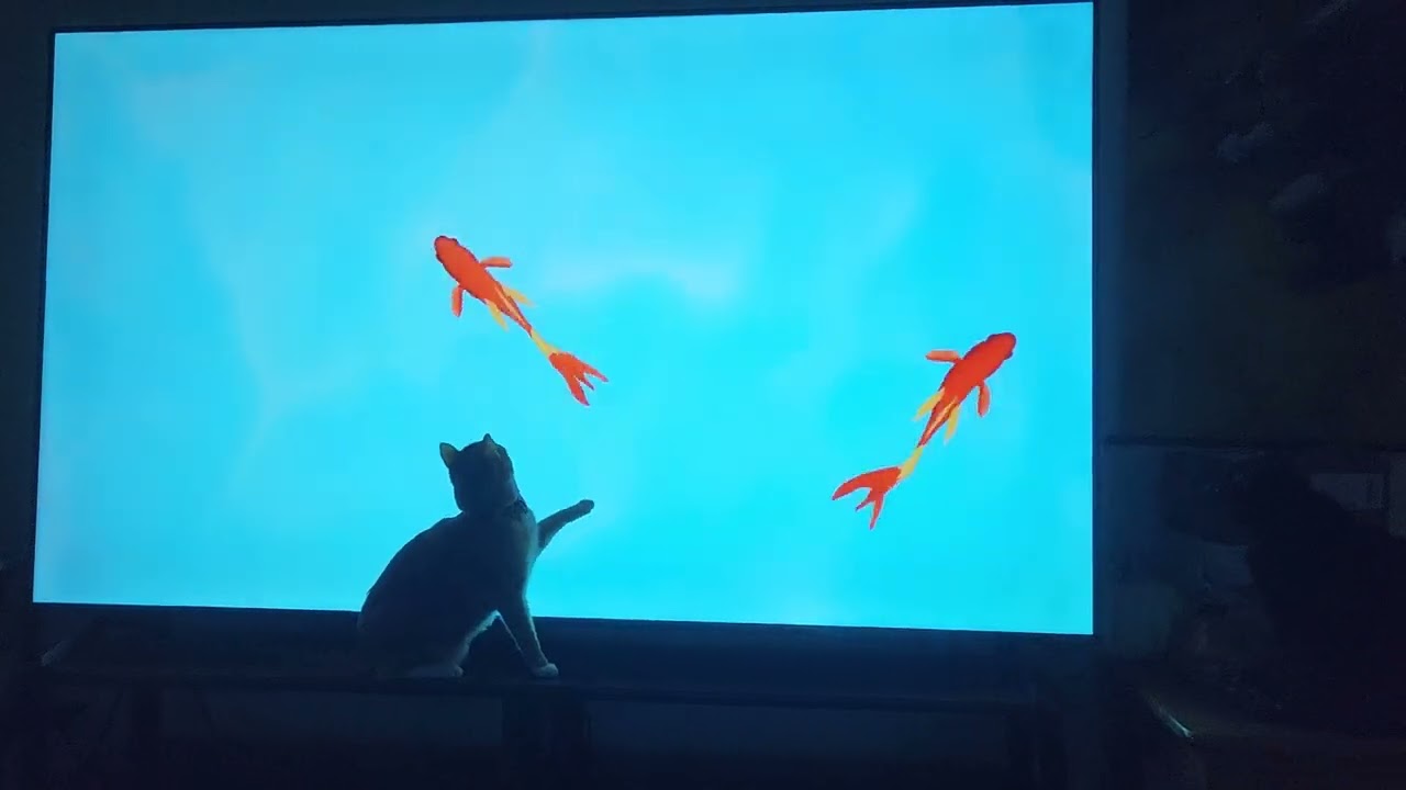 Go get'em Pyro!