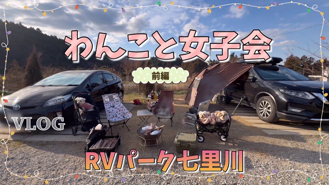 RVパーク七里川でわんこを連れて女子会をしてきたよ🎶〜前編〜🐶🐶#マルシーズー＃シーズー#キャンプ場#グルキャン#RVパーク#女子会