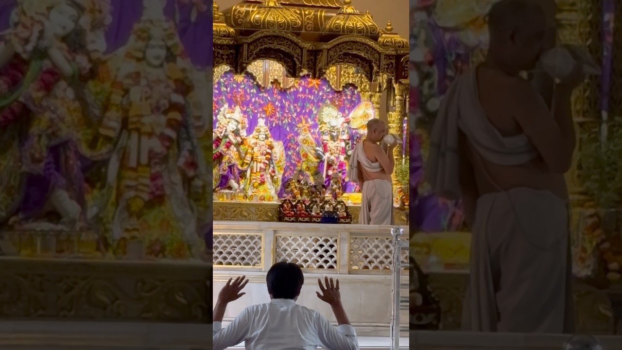 Peace lord Krishna #trending #minivlog #krishna #radheradhe #papakipari #iscontemple #surat
