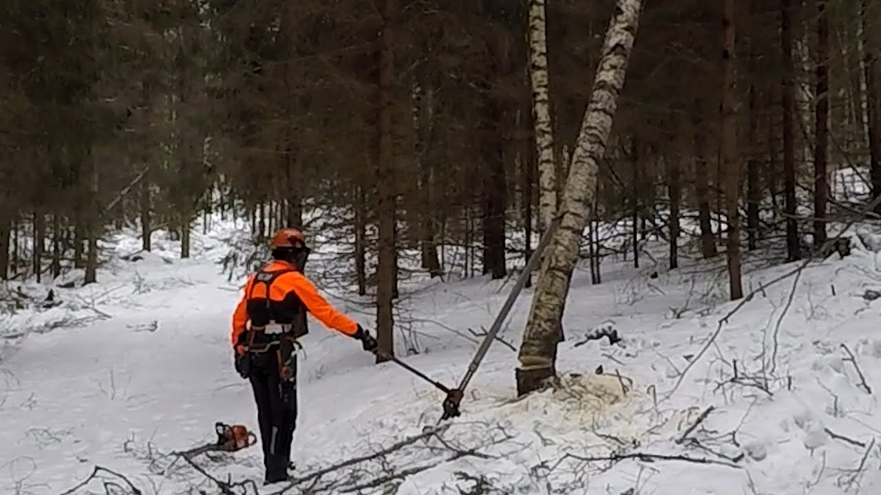 DIY Farm Jack Tree Pusher( farmitunkki kaadonsuuntaaja)HUSQVARNA 550 XP Mark II