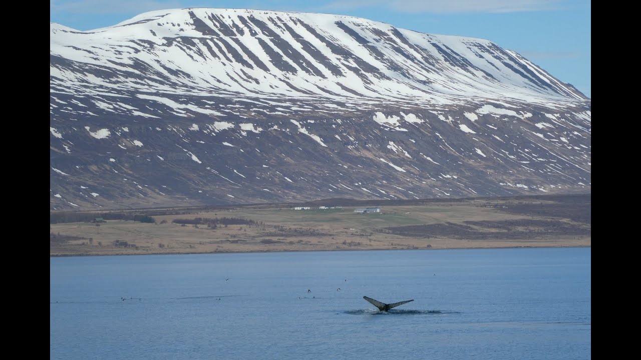 Nordische Inseln mit AIDAbella 30.04.-14.05.2023