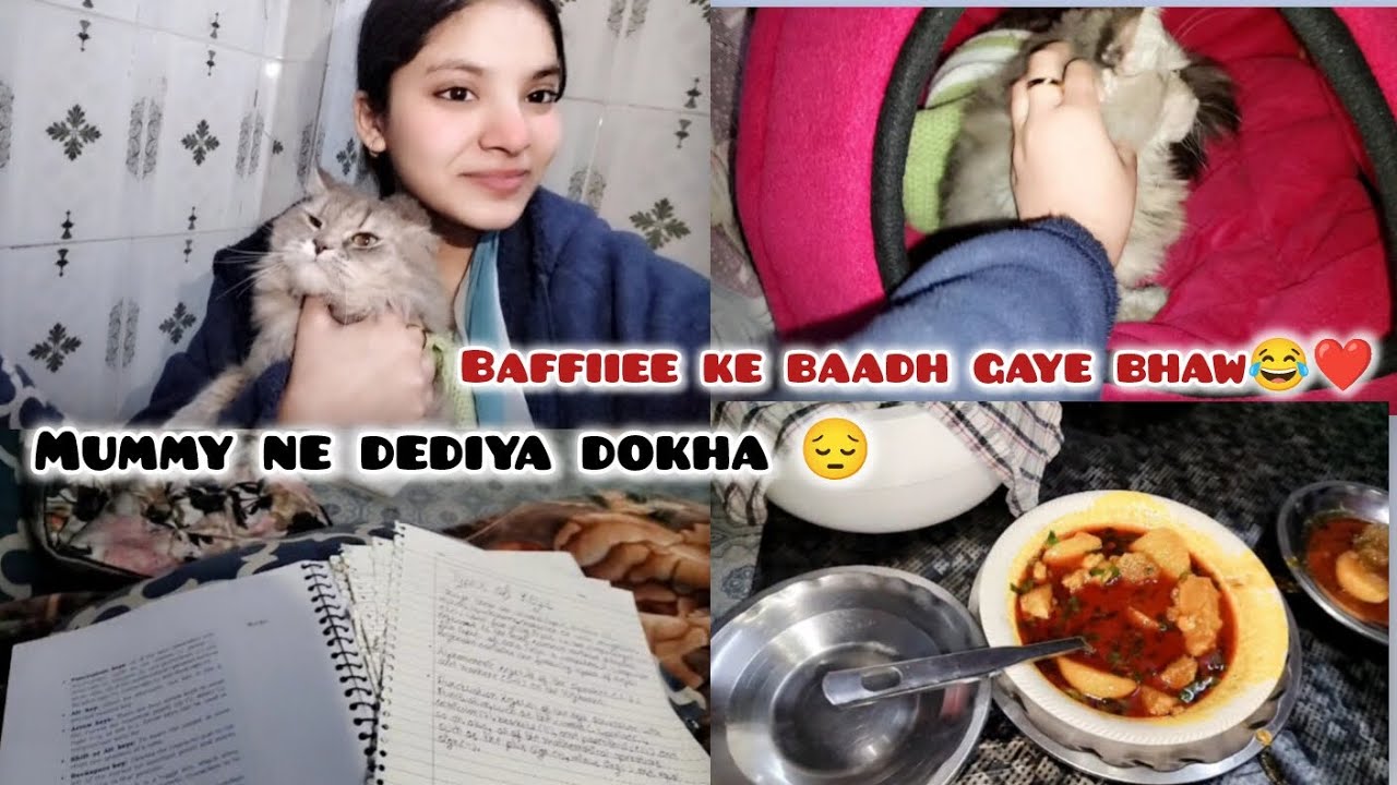 Mummy ne dediya dokha 😔|| baffiee ke baadh gaye bhaw 😂❤