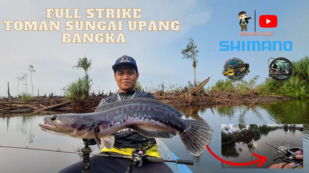 PANEN STRIKE TOMAN SUNGAI UPANG BANGKA | ANTARES DC MD XG 2023