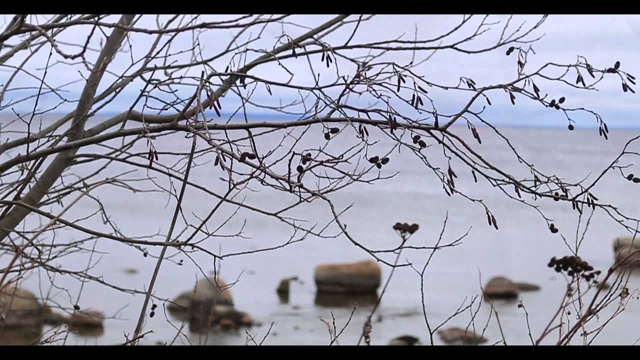 test video eos 70d ef-s 18-55 is stm