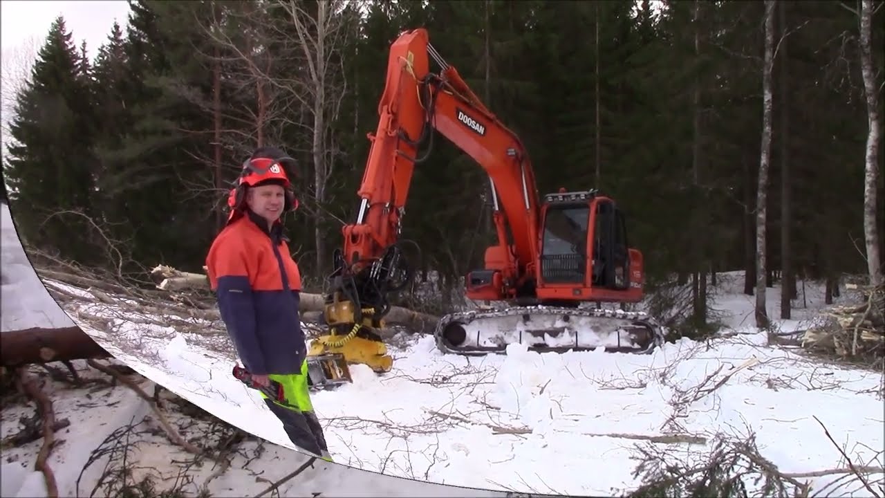 Energiapuun Korjuuta 2024