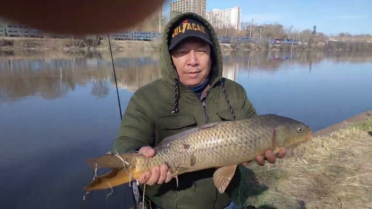 PESCANDO CARPAS CON UNA DE LAS MEJORES MASAS.