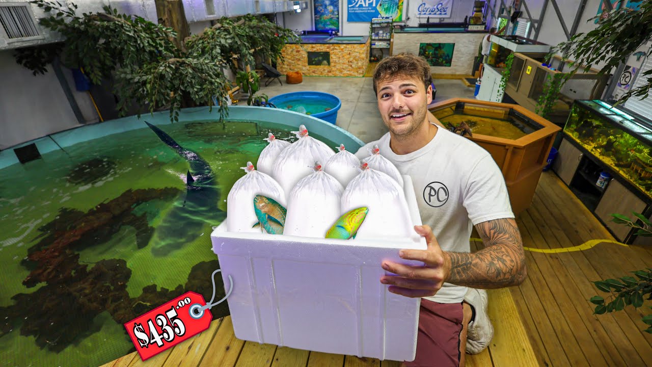 Buying FISH for ALL of My PONDS!!