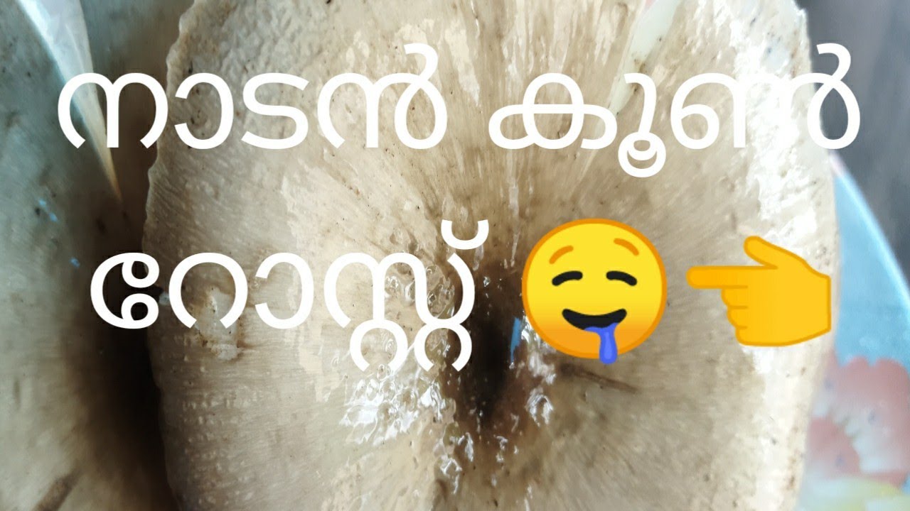 swadhishtavum poshaka samridhavumaya naadan koon roast# mushroom 🤤👈