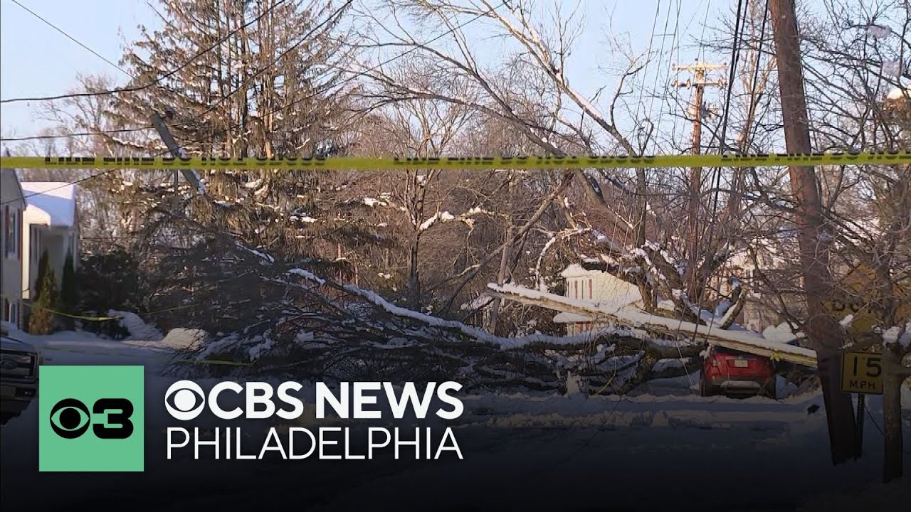 Parts of New Jersey still without electricity after blizzard knocks down trees, power lines