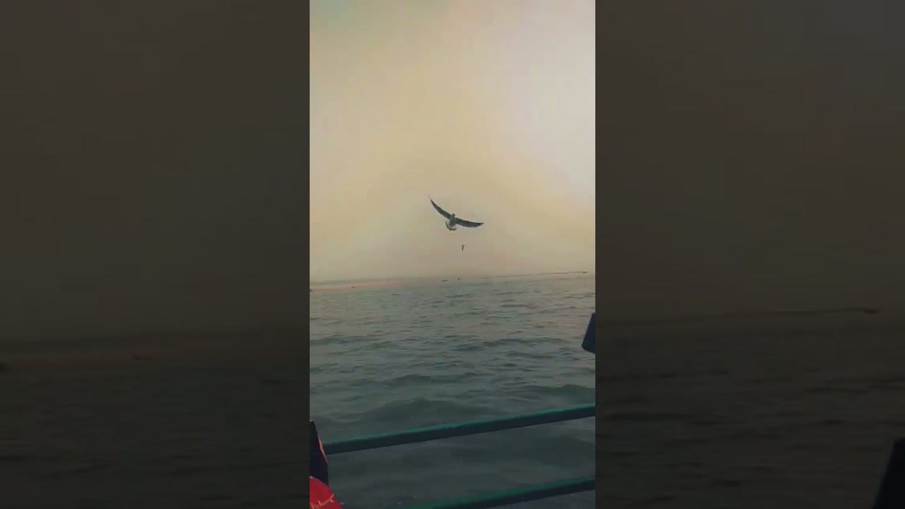 Jay ho maa ganga