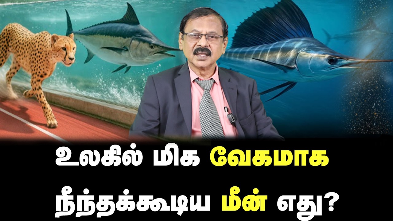 உலகில் மிக வேகமாக நீந்தக்கூடிய மீன் எது? Science Series| WHY WHAT HOW?- Science Questions series - 7