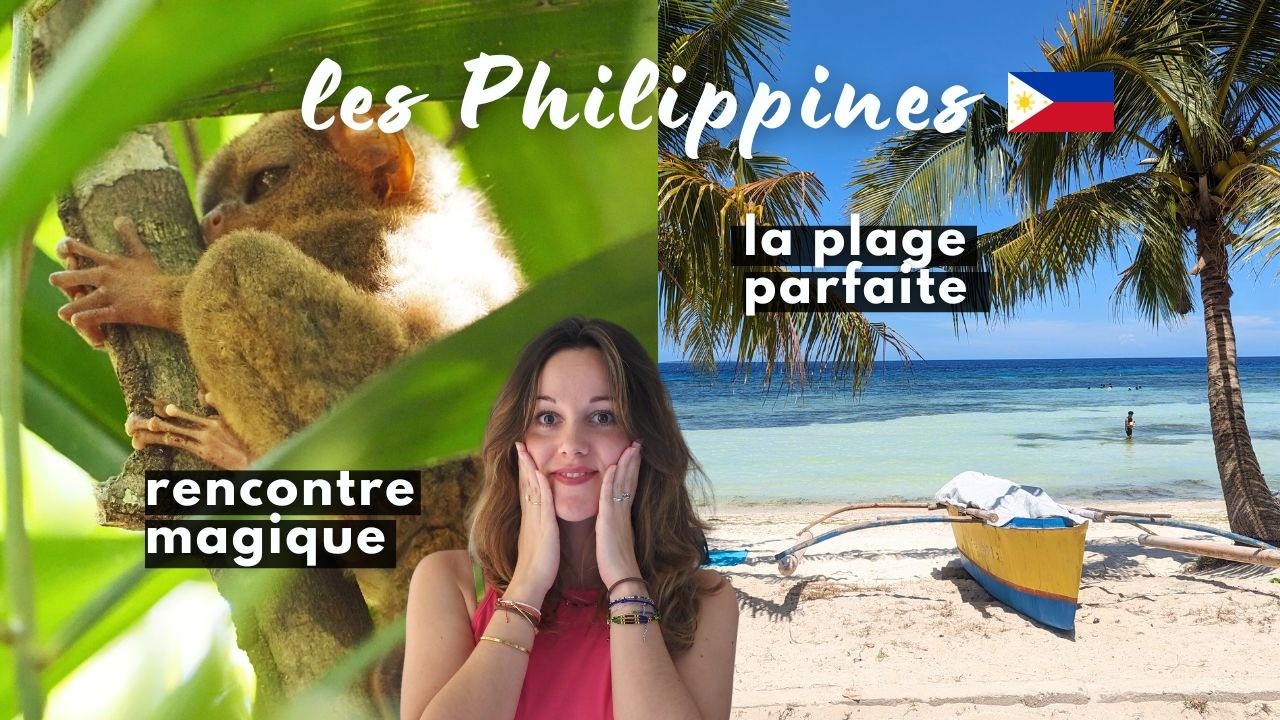 La plus belle plage de PANGLAO & Adorables TARSIERS à Bohol 😳🐒 Voyage aux Philippines