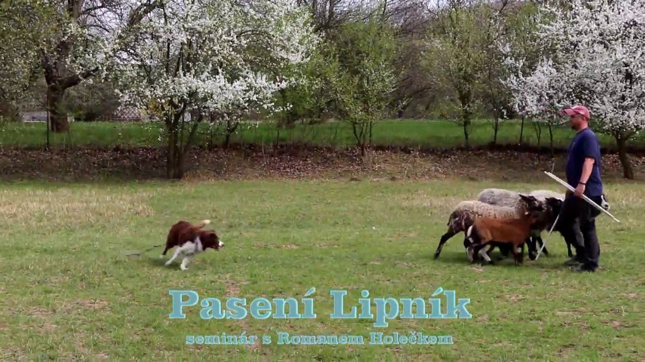 Roman Holeček na semináři Pasení Lipník