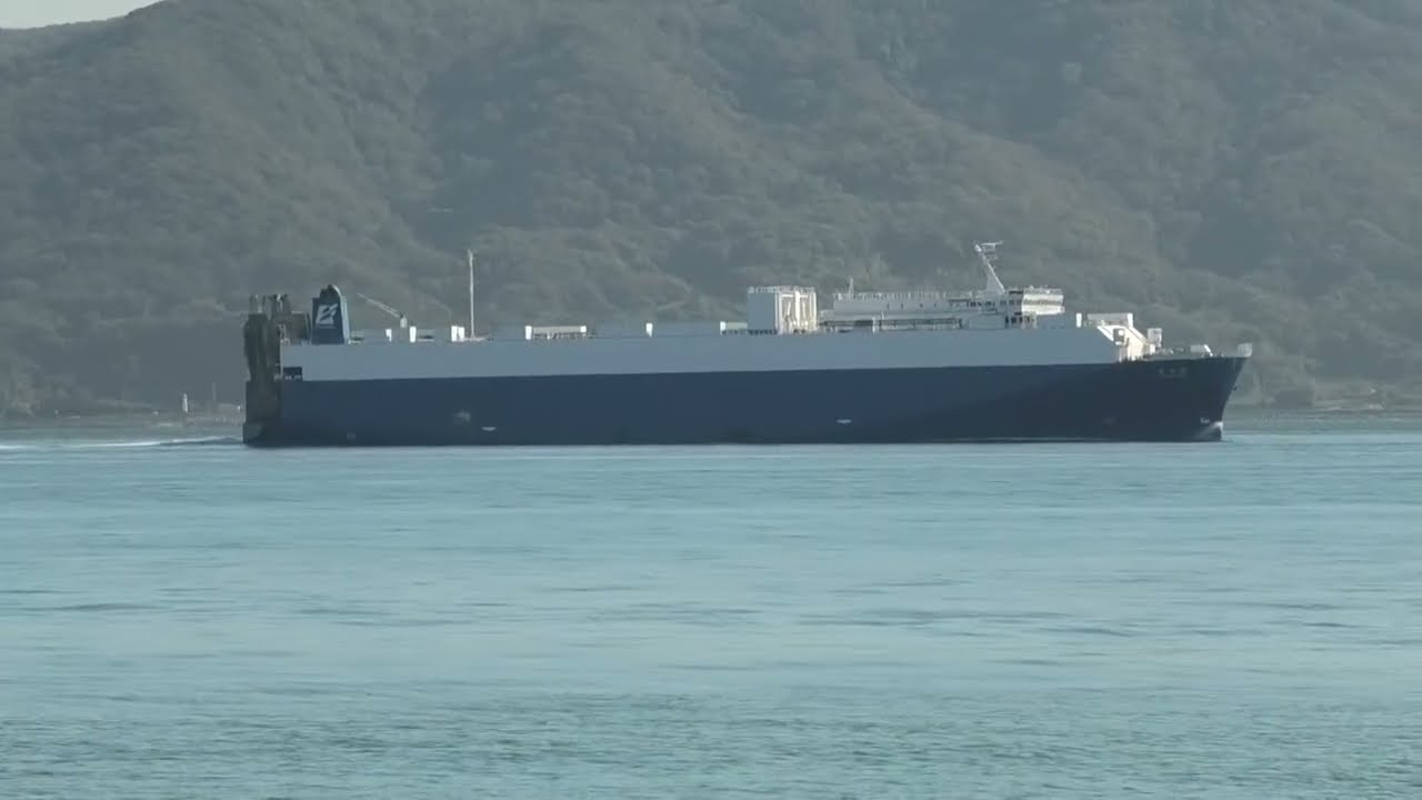 Vehicles Carrier NICHIOH MARU  10 2025