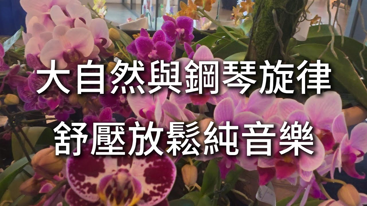 大自然與鋼琴旋律舒壓放鬆純音樂 #心靈SPA #放鬆音樂 #放鬆療癒音樂 療癒音樂 #瑜珈音樂 #靜心音樂 冥想音樂 舒壓音樂
