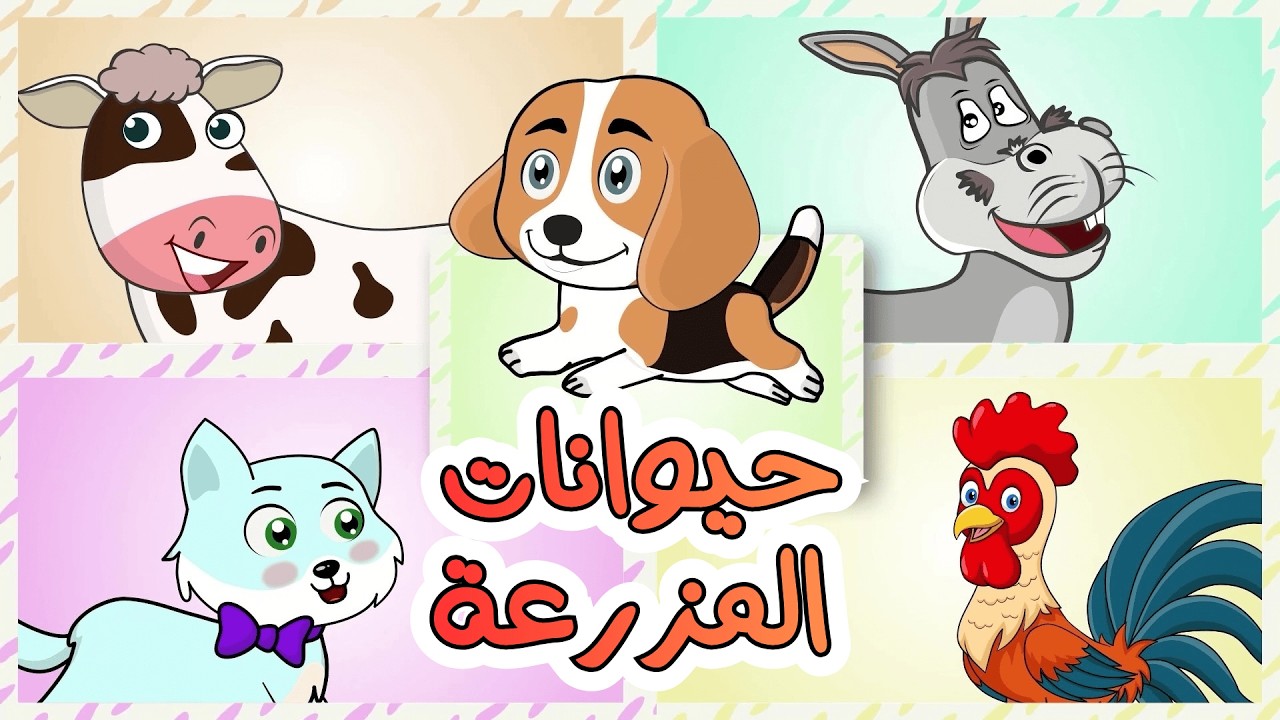حيوانات المزرعة ومجموعة اغاني قناة دن دن