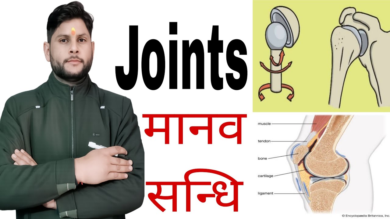 Human Joints in Hindi | जोड़ क्या होते हैं? |