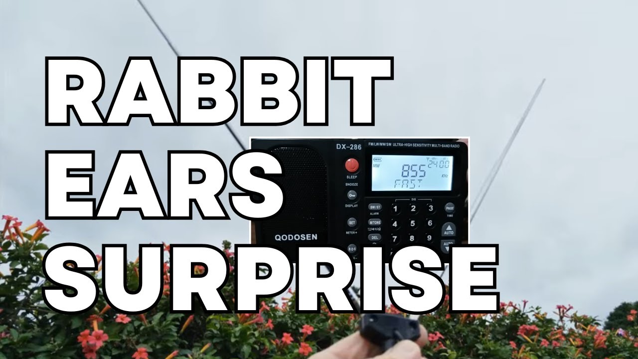 📡 Дипольный сюрприз для MW DXing на Qodosen DX-286: Россия, Венгрия и Эфиопия слышны в Южной Африке