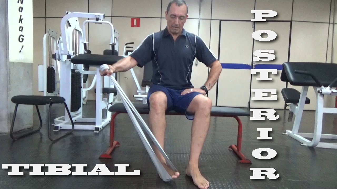 Tibial Posterior