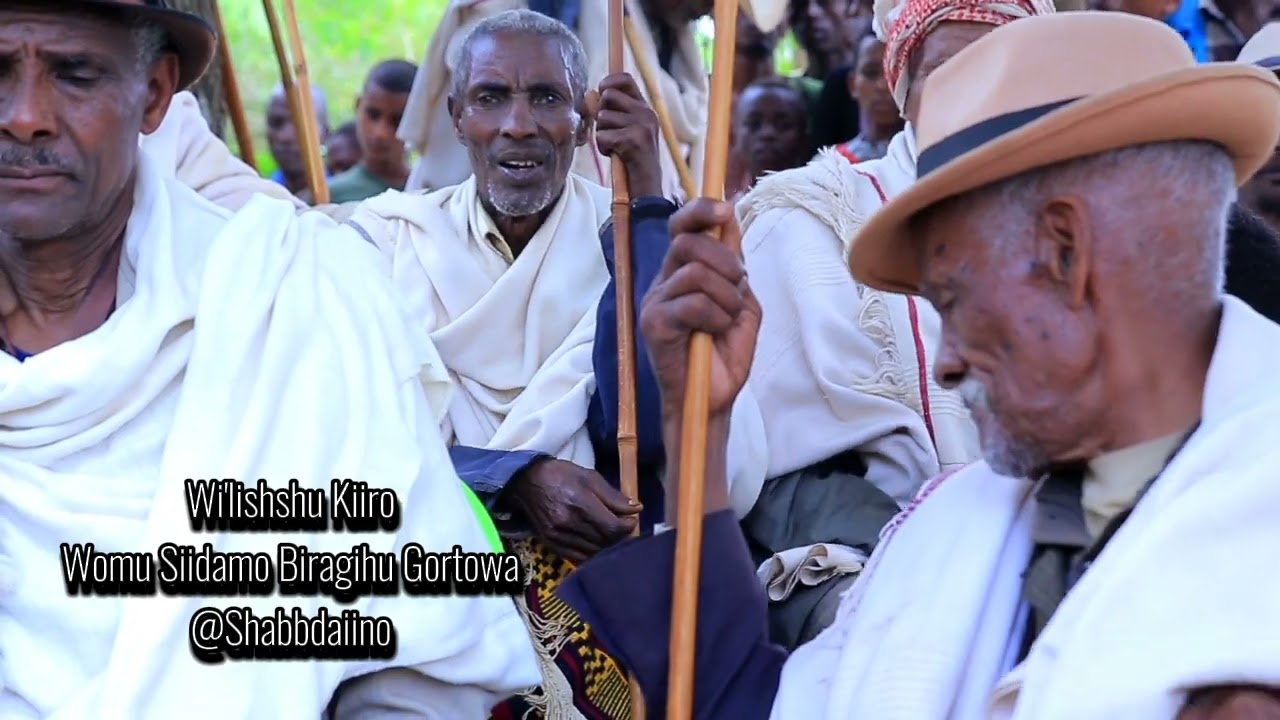 Sidaamu Budi Wi'late Kulo Qaali-Kiiro