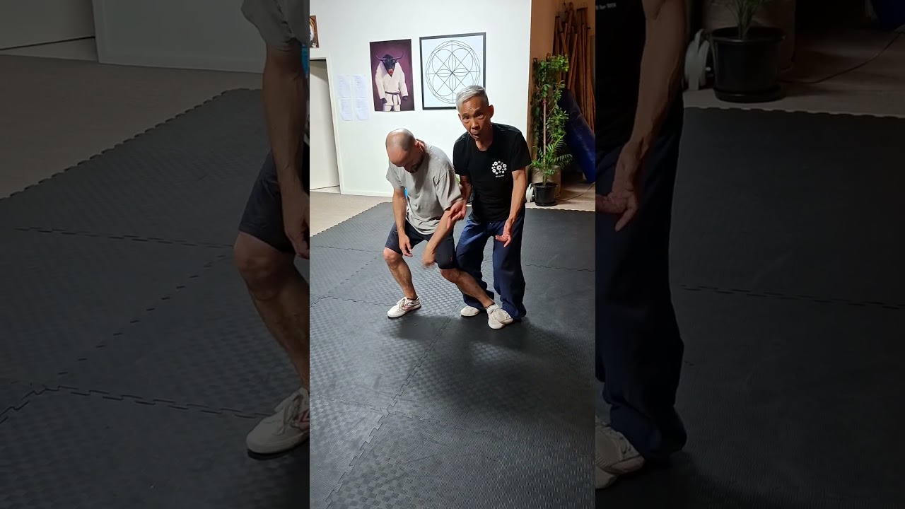 实战5 -  双踩 1 Practical fighting 5 - double feet pin 1