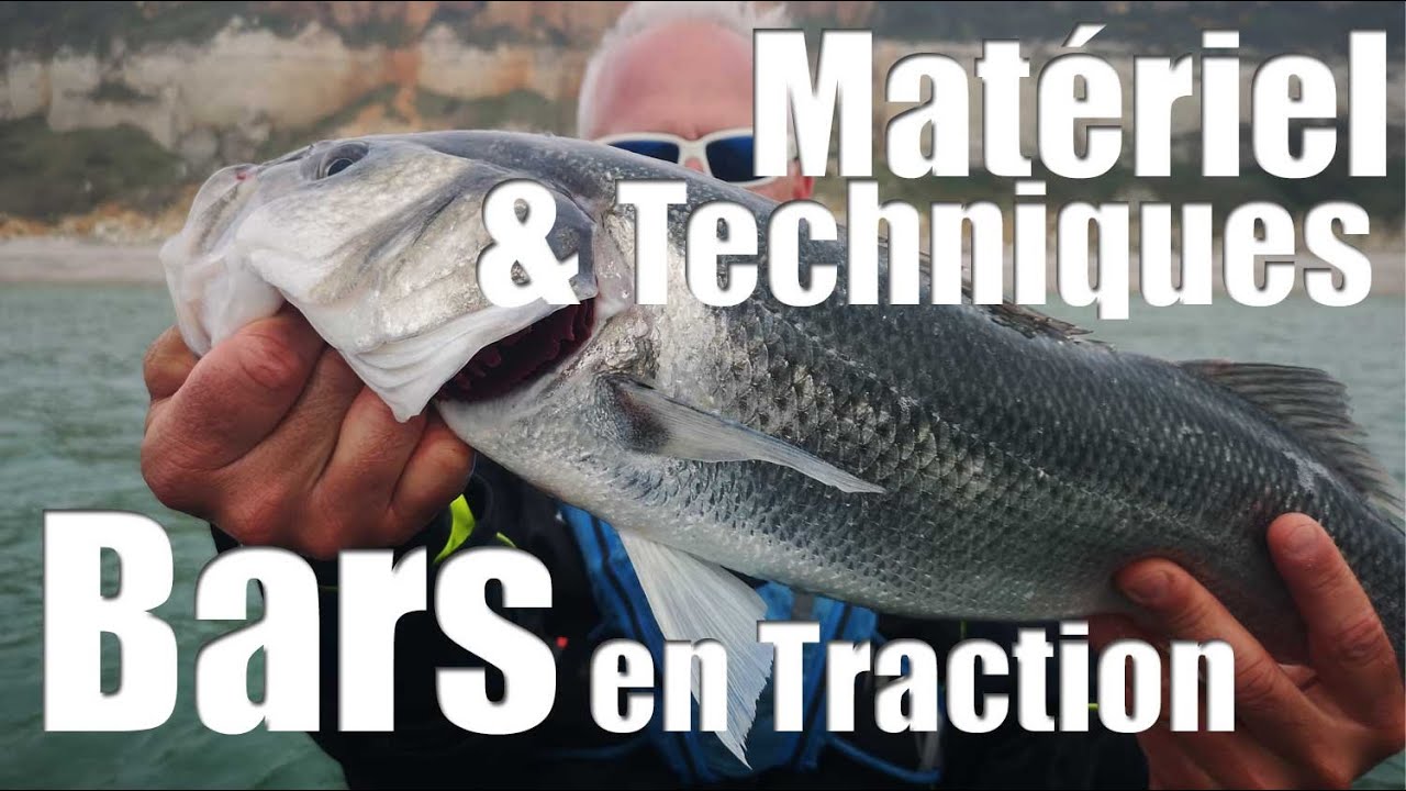 COMMENT PECHER le bar en traction : Technique et Matériel