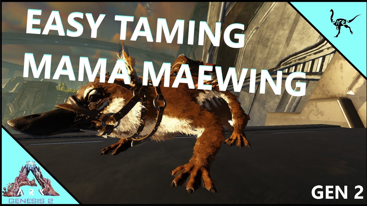 How to tame a Maewing and How to fly a Maewing - Ark Survival Evolved