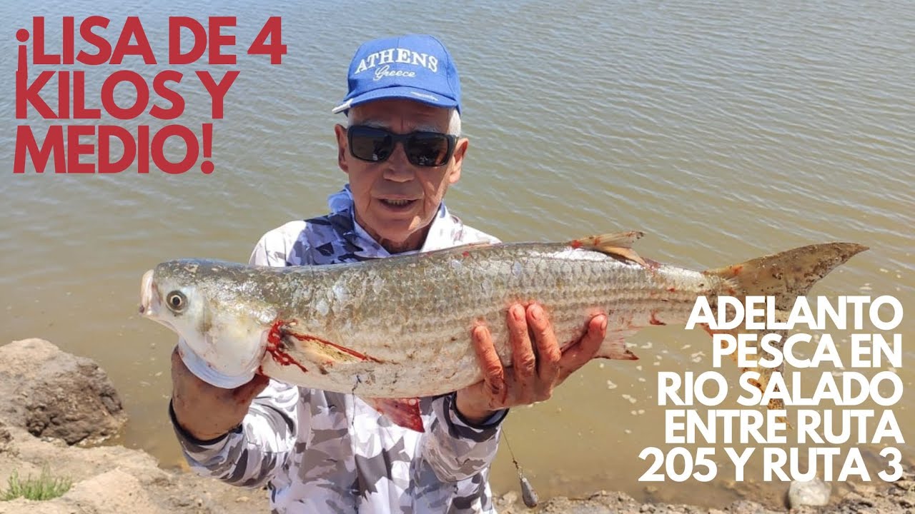 ¡LISA GIGANTE EN EL RIO SALADO! - PESCA DE COSTA EN BUENOS AIRES