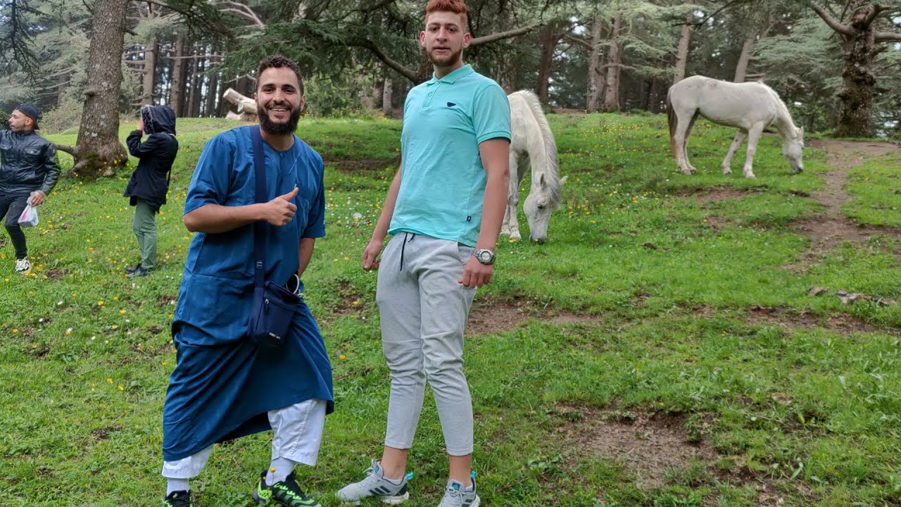 أجمل غابات في الجزائر الشريعة Blida