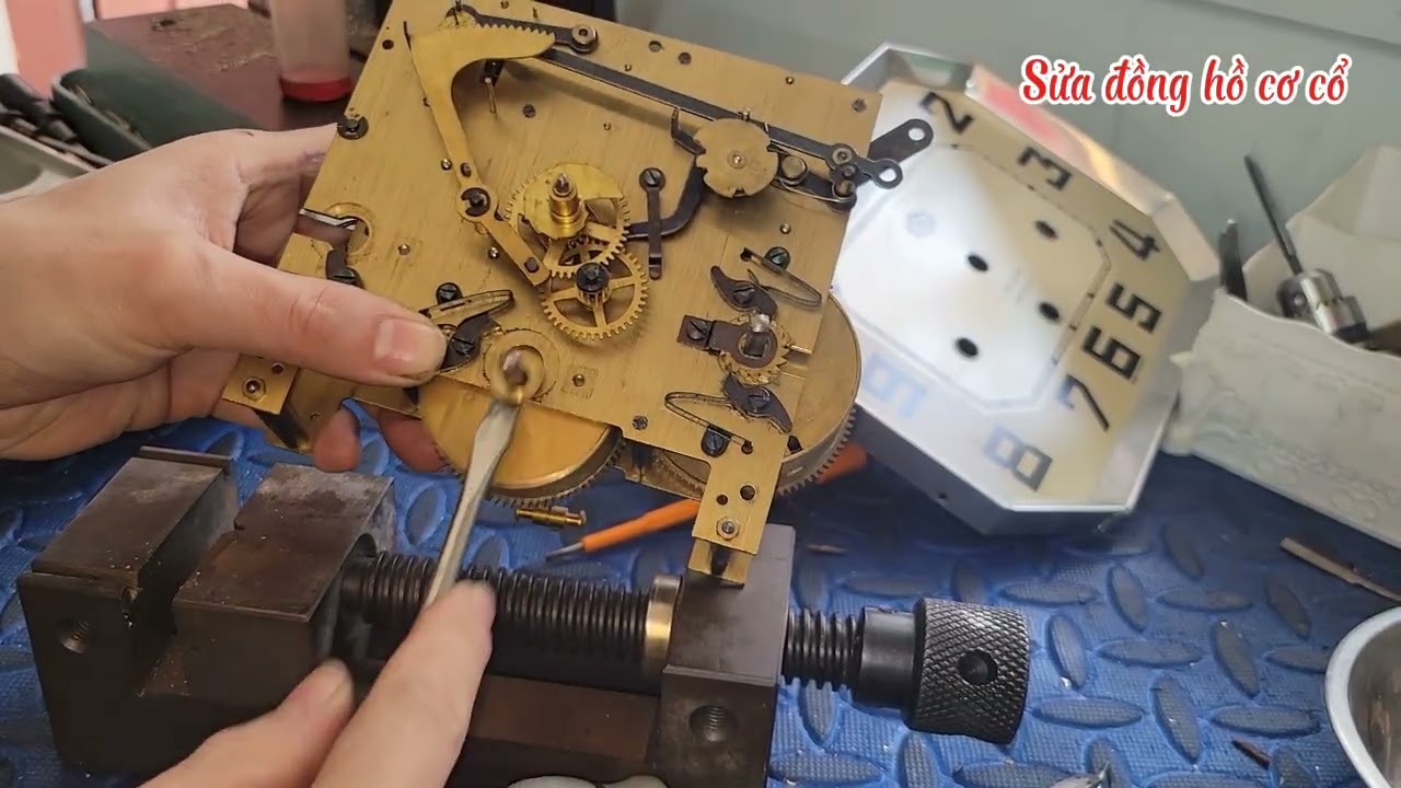 54 mới tinh lên bản gaicalion ping bong 
