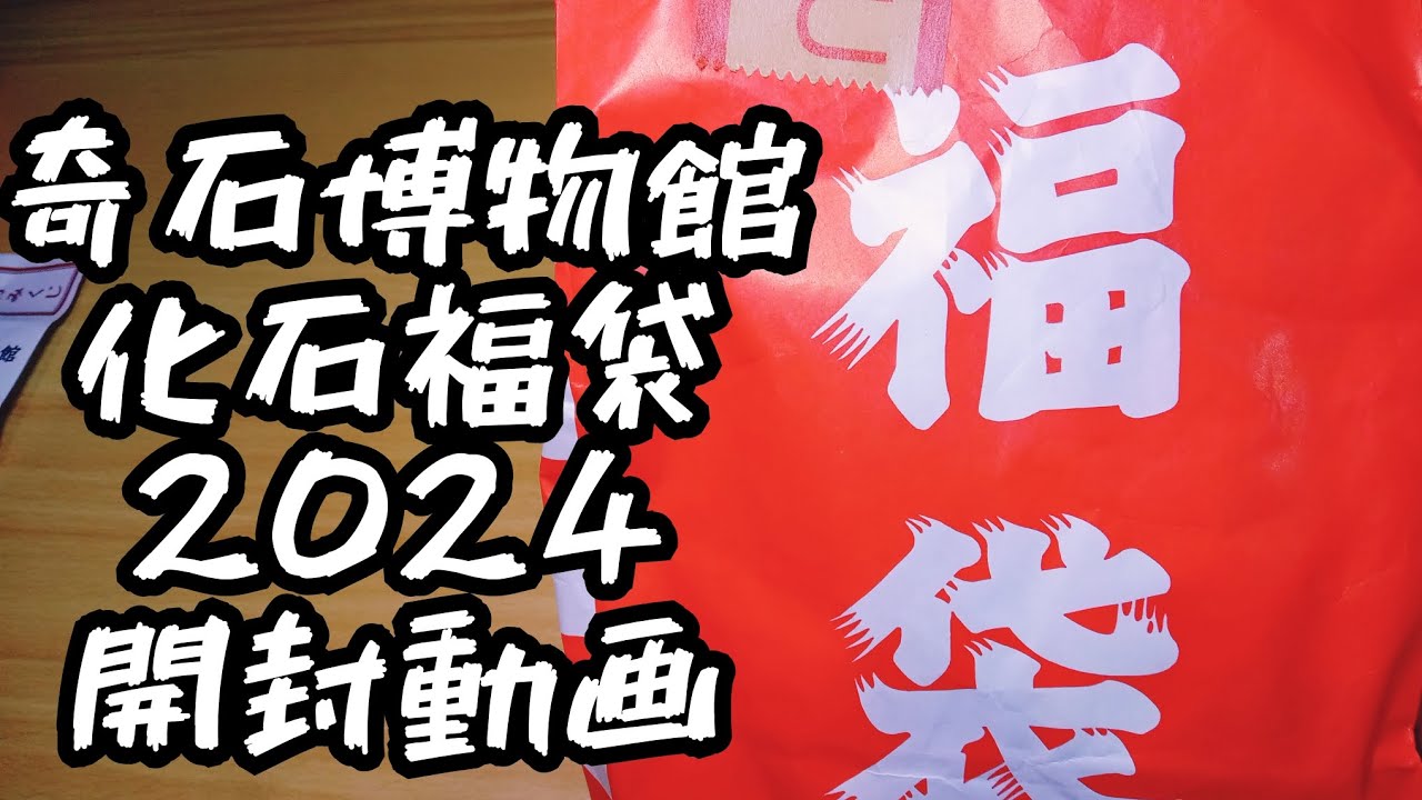 奇石博物館 福袋開封動画① 2024化石袋編
