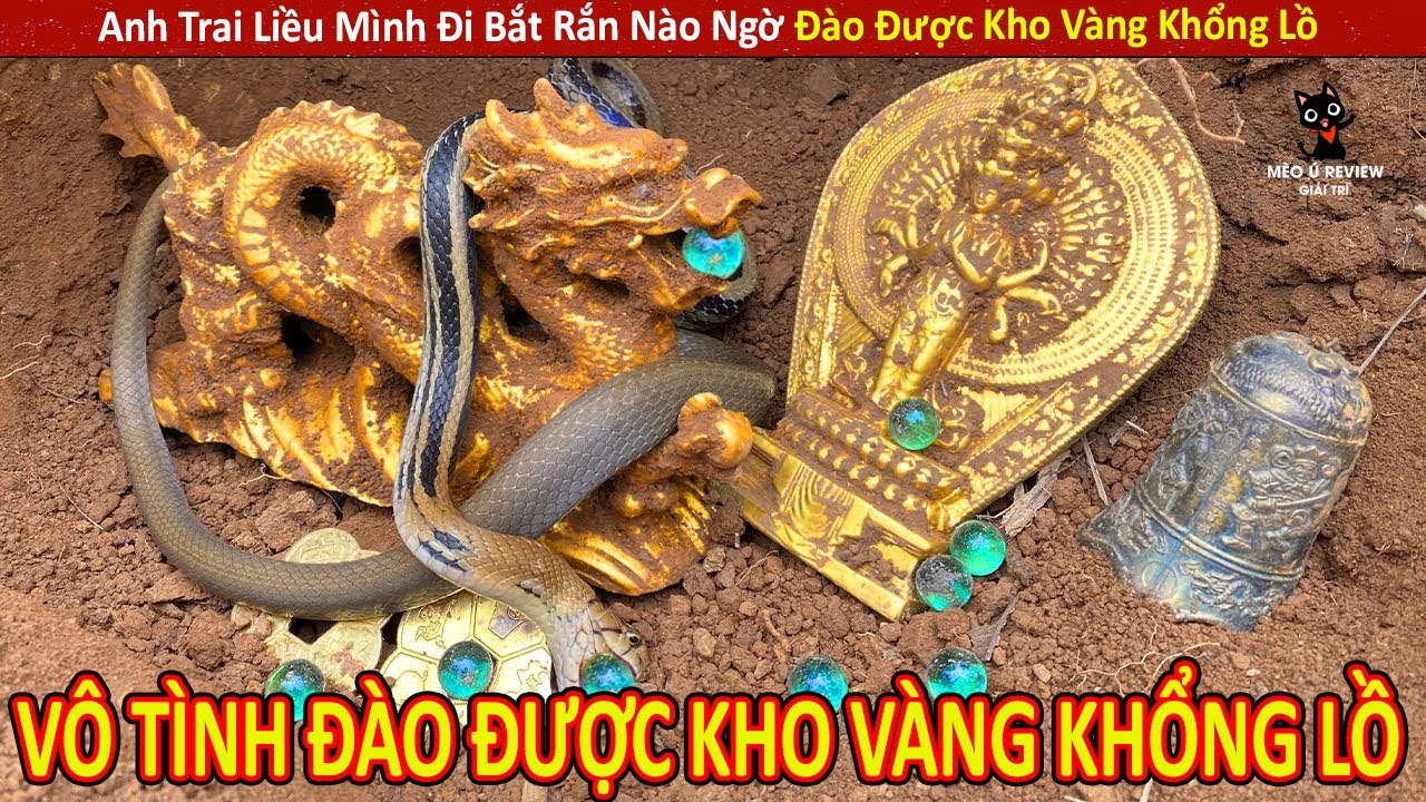 Anh Trai Liều Mình Đi Bắt Rắn Nào Ngờ Đào Được Kho Vàng Khổng Lồ || Review Con Người Và Cuộc Sống