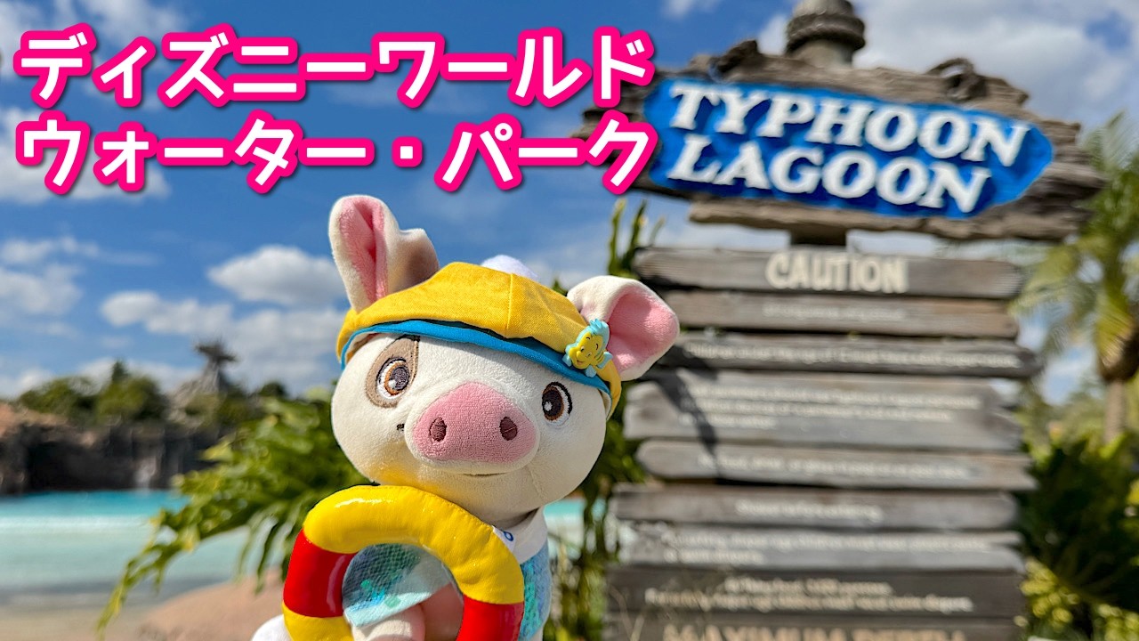ディズニー・タイフーン・ラグーン🌊園内ツアー🐷🎶　フロリダ・ディズニーワールドのウォーター・パーク🛟