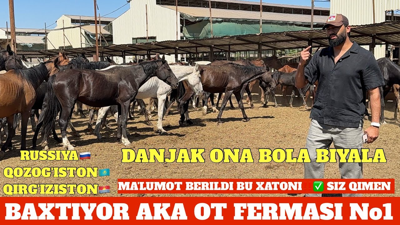 BAXTIYOR AKA DANJAK ONA BOLA BIYALAR OPTOM NARXDA SOTILADI 1-QO'L OT BOQISH SIRLARI
