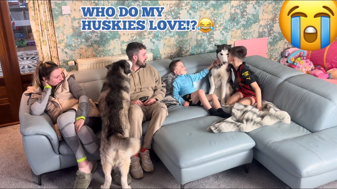 Who Do Our Huskies Love More Challenge!!??😂. [ALL 3 HUSKIES!!]
