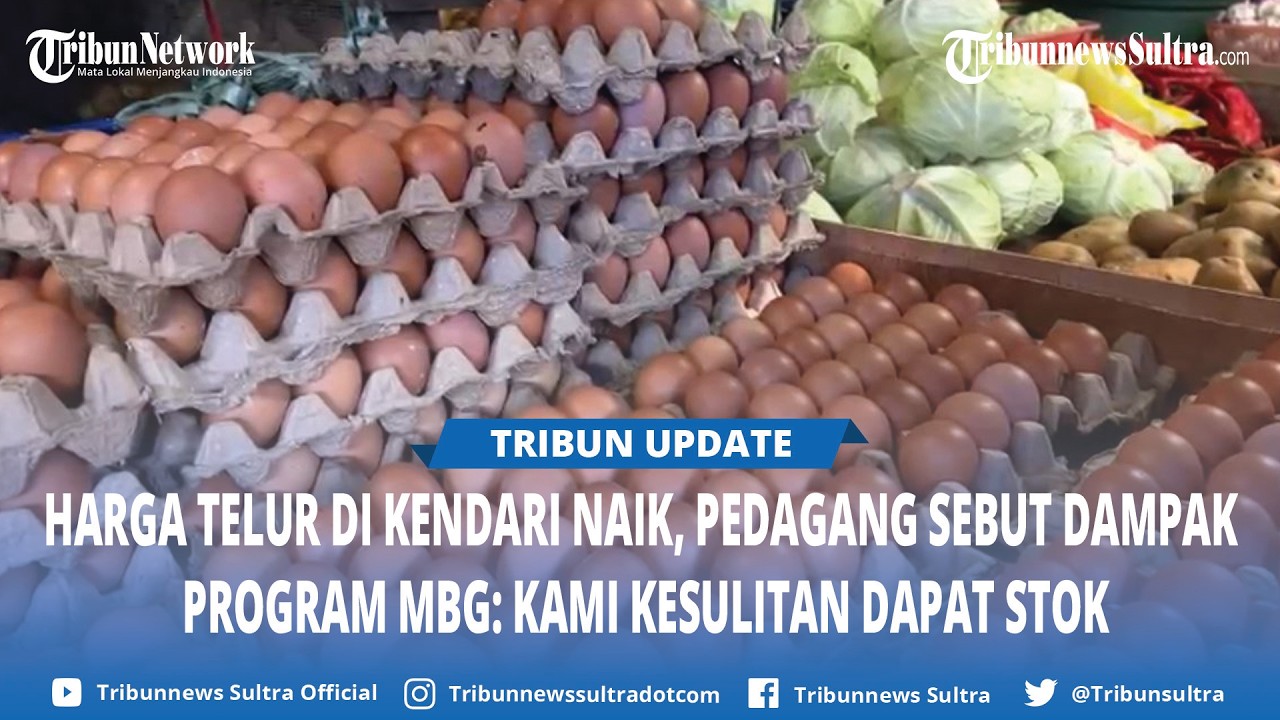 Harga Telur di Kendari Naik Jelang Lebaran 2026, Pedagang Sebut Stok Berkurang Dampak Program MBG
