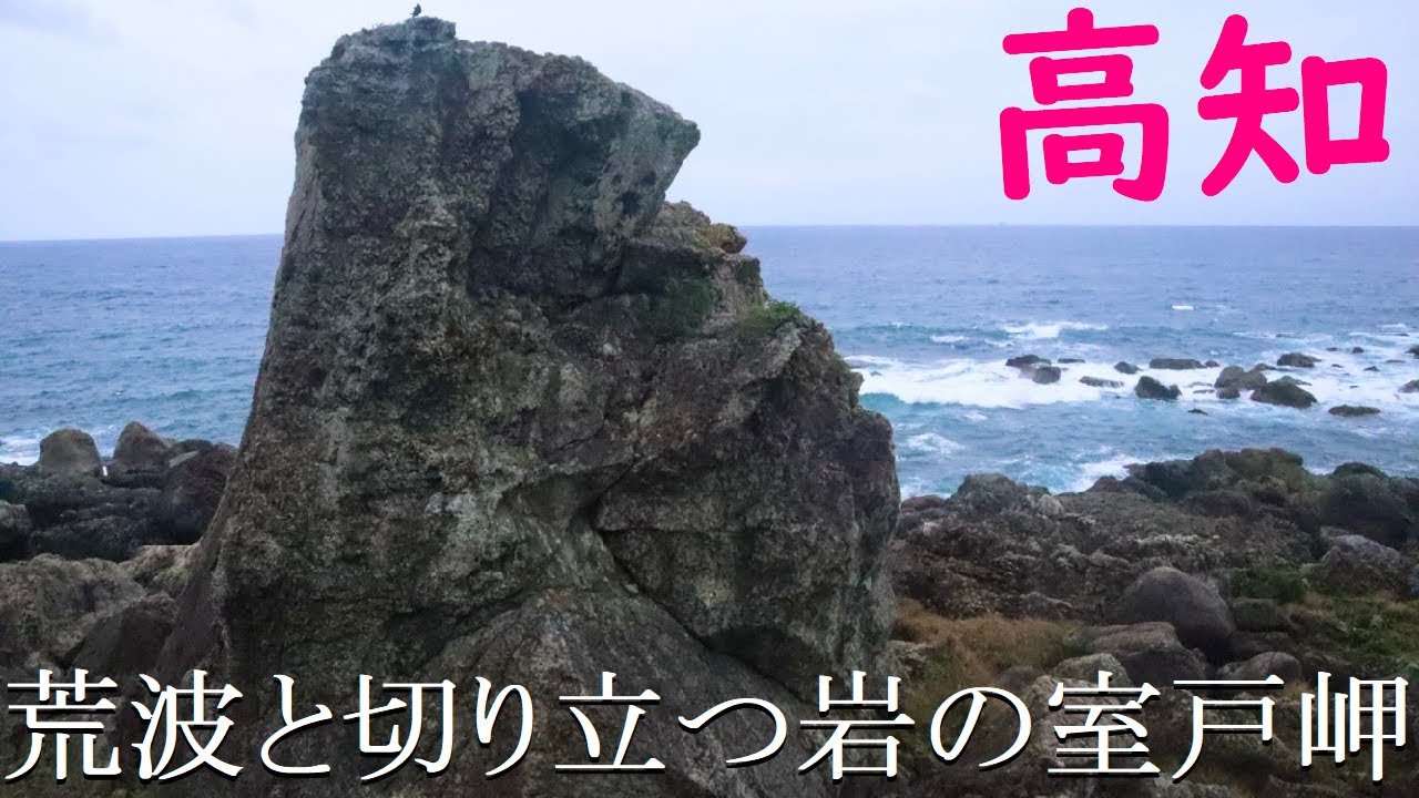【高知】猛り立つ岩と波・室戸岬に行ってきた！【人気観光地】