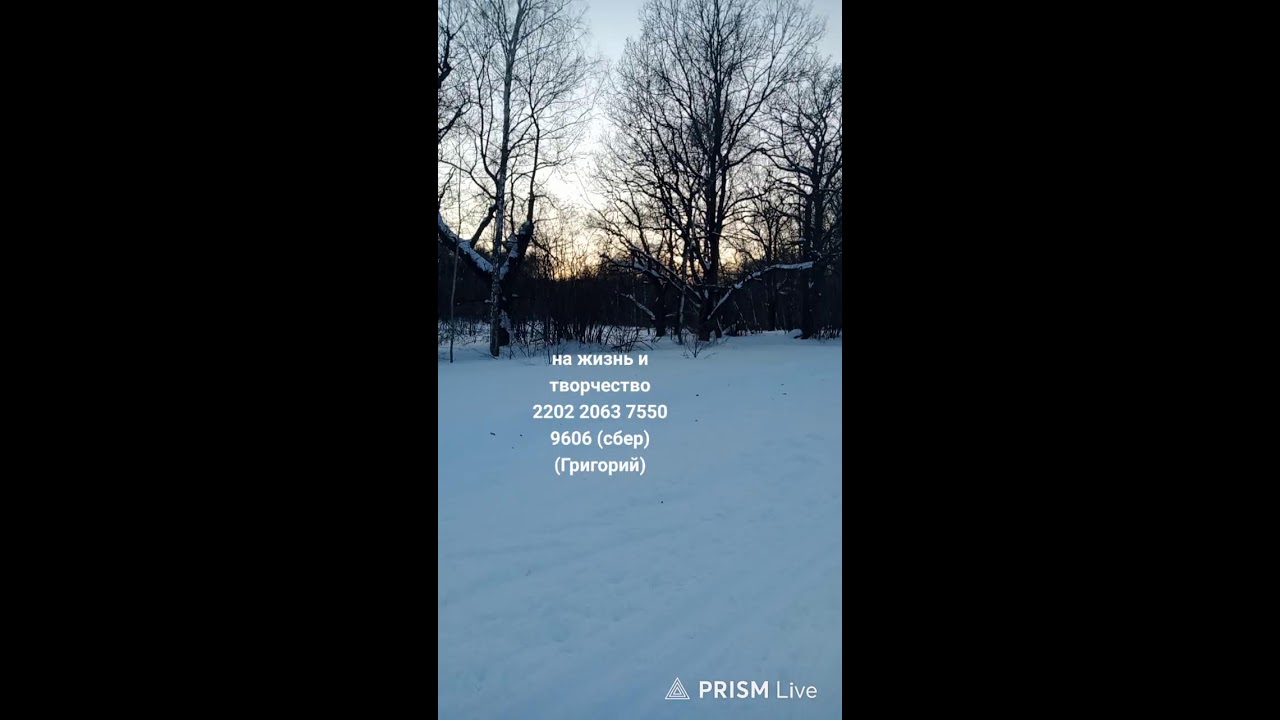 Зимний вечер в лесу.)