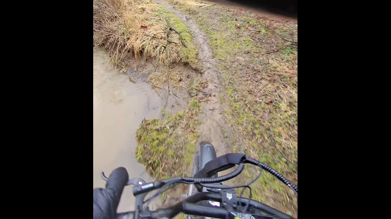 I Took an 8000W E-Bike Into the Woods... (Wired Predator Unlimited Class)