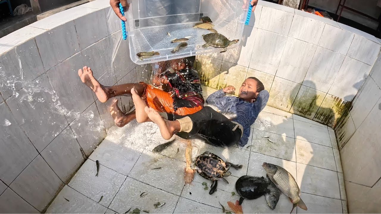Fish Tank Aquarium Cleaning #fish #fishaquarium #aquarium