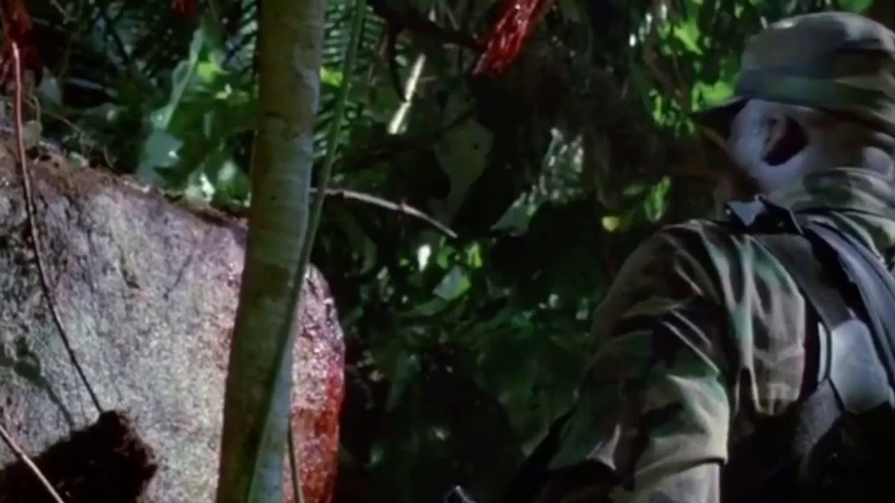 Predator scene (Jim Hopper Ambush)
