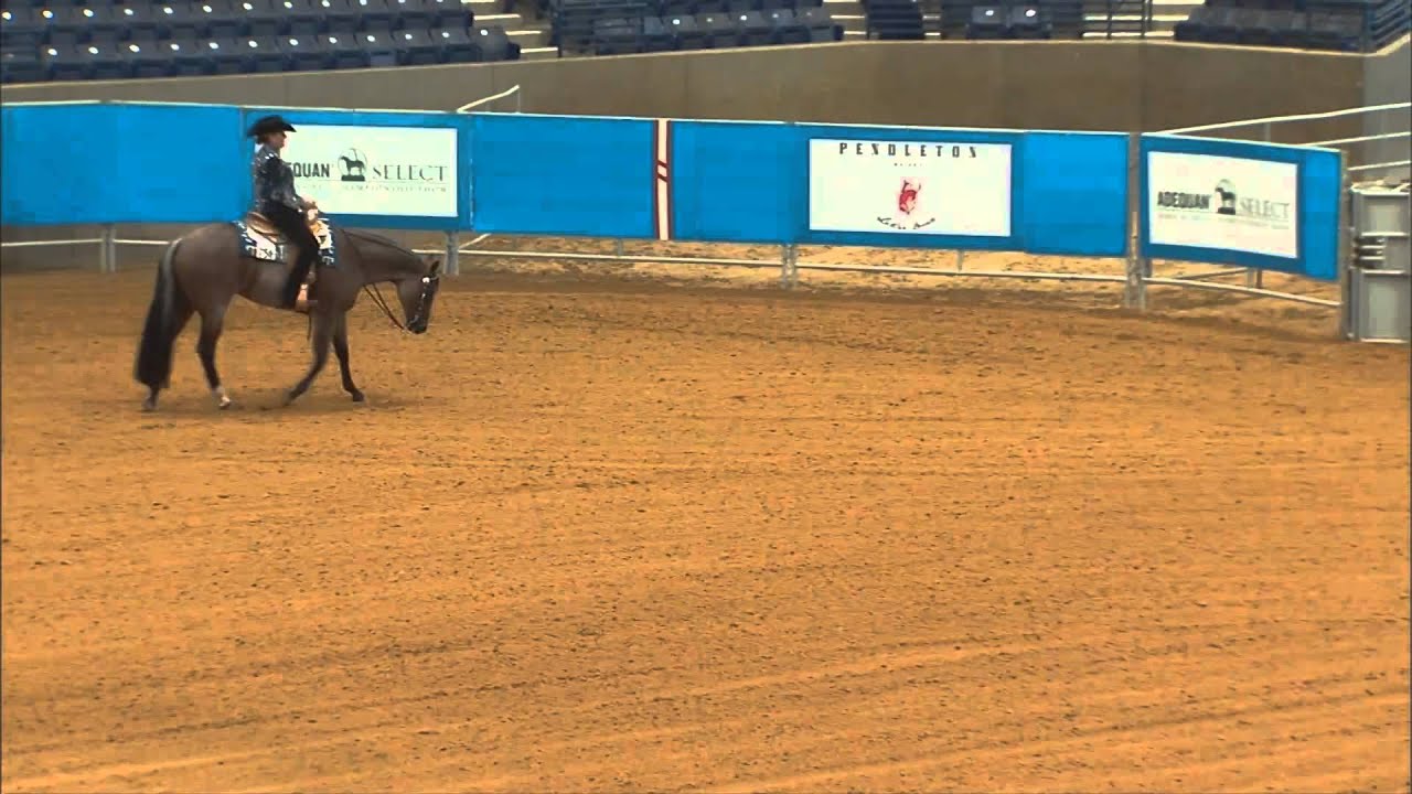 Givin Up The Goods-Western Riding and Horsemanship